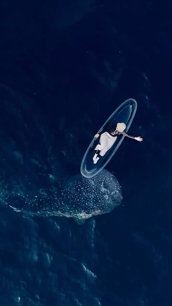 Lombok travel photo 6 - Adventure destination showcase